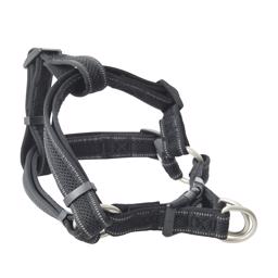 Hundsele kliver in från Buster black mesh